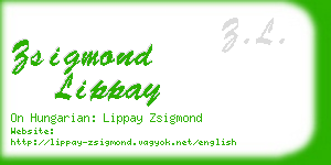 zsigmond lippay business card